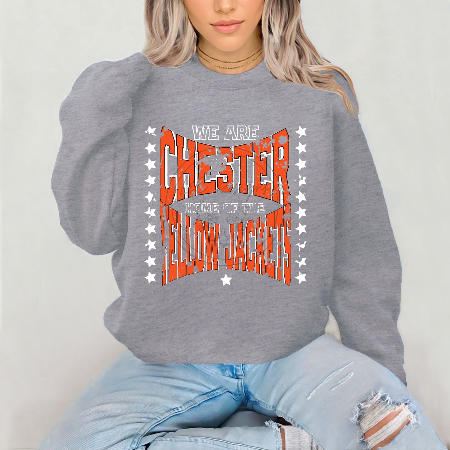 We Are Chester