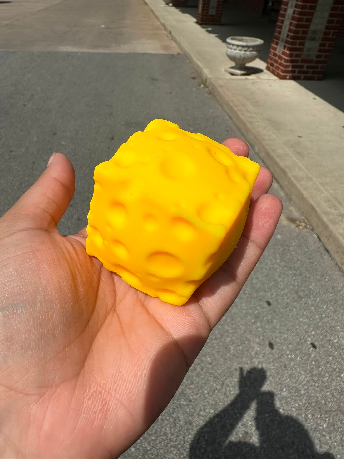 Cheese Squish